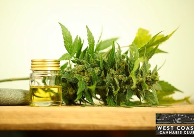 West Coast Cannabis Club - Palm Desert Website