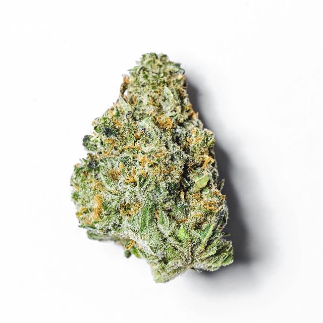 Cultivate Recreational Website