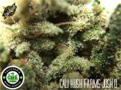 LOS ANGELES KUSH - EAST LA Website