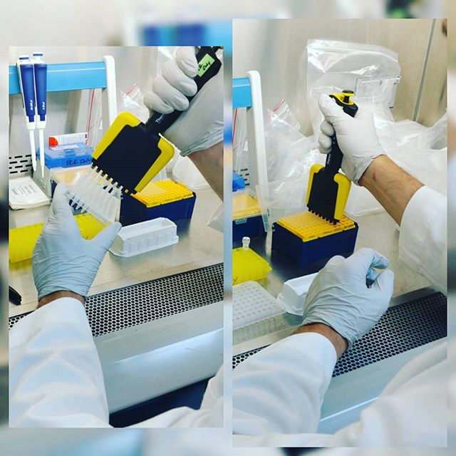 The Sequoyah Group, LLC Website