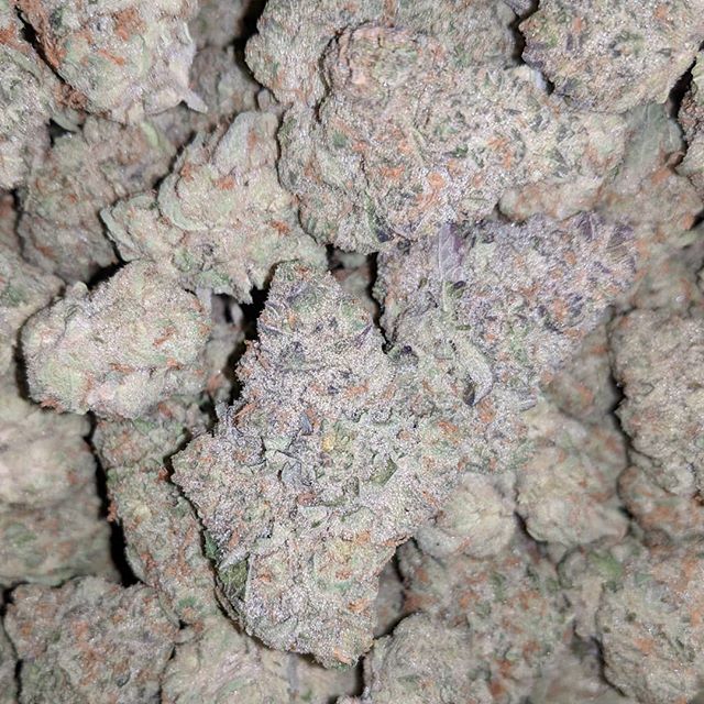 Medicinal Oasis - Recreational Website