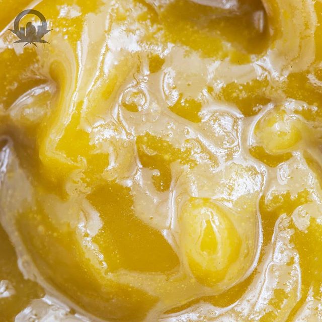 Urban Dispensary Website