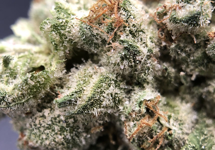 PurLife - Montgomery Website