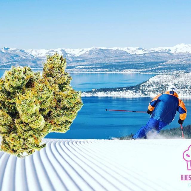 Buds & Cream Website