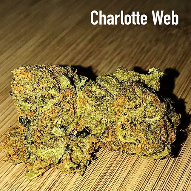 Canna Couriers Website