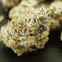 Diego Pellicer - South Denver Website