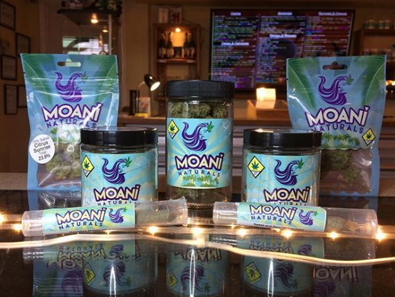 2020 Solutions - Soap Lake Website