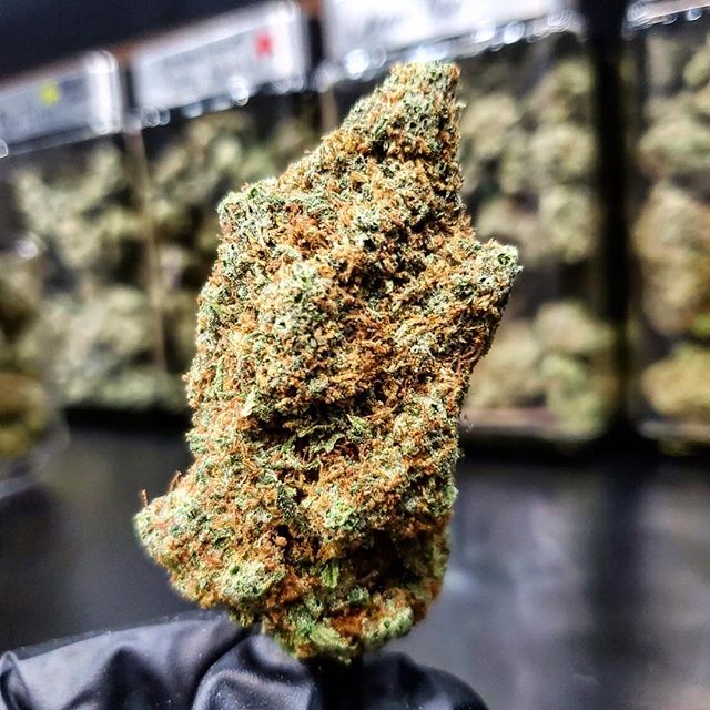 Elevated Longmont Website