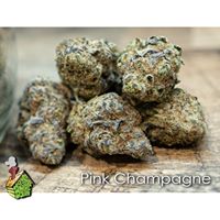 HOD Medical Marijuana Certification Center Website