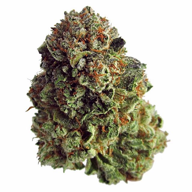 Starbuds Aurora Website