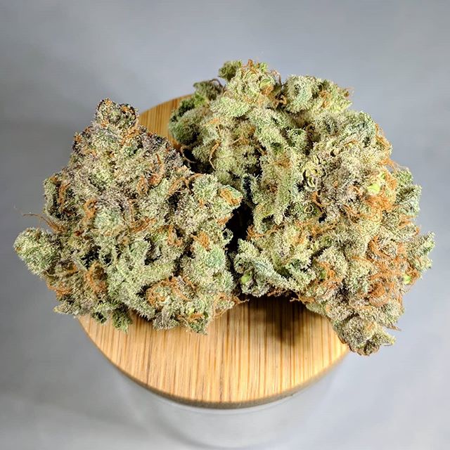 Metropolitan Wellness Center Website