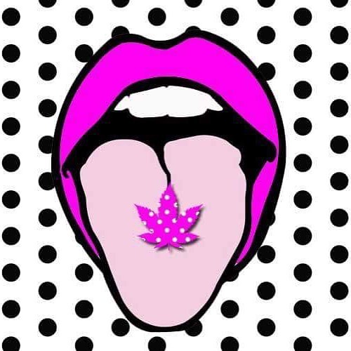 Budlandia - Division St. Website