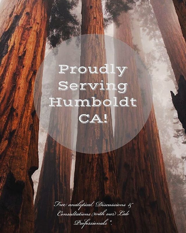 The Sequoyah Group, LLC Website