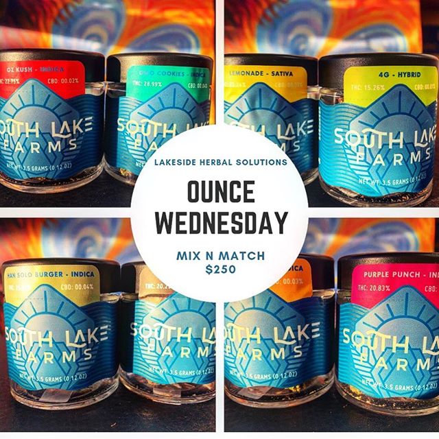 Lakeside Herbal Solution Website