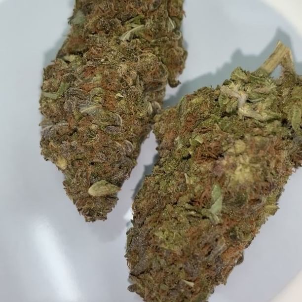 Greenwood Wellness Dispensary Website