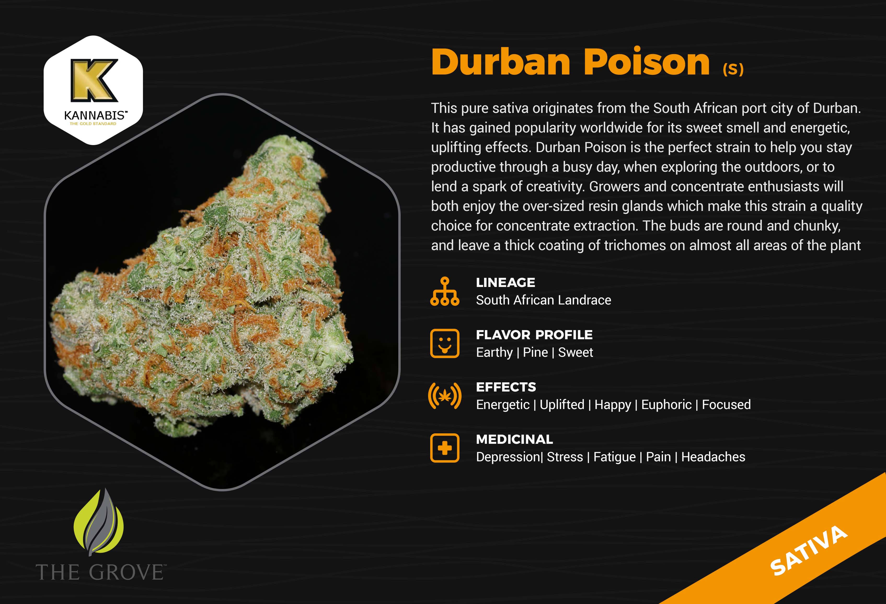 The Grove - Las Vegas Website