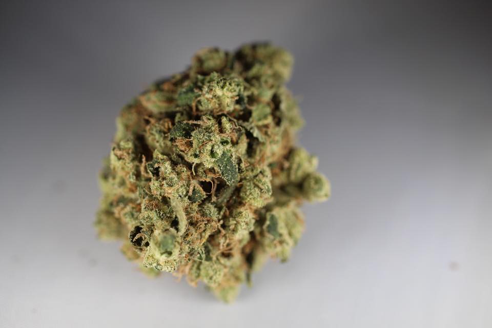 Three Greens Collective Website