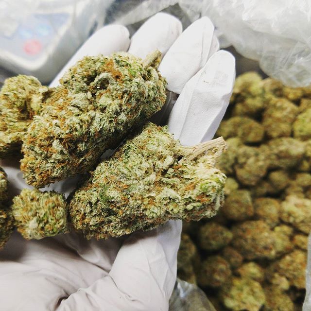 The Sequoyah Group, LLC Website