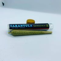 Ruby’s Green Garden (RGG LLC) Website