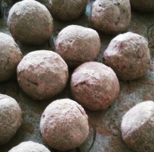 Jade Lion Gardens - Berkeley Website