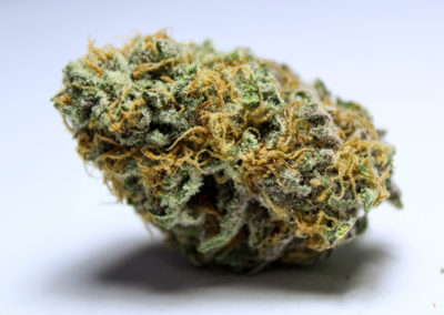 Twenty After Four Wellness Center Website