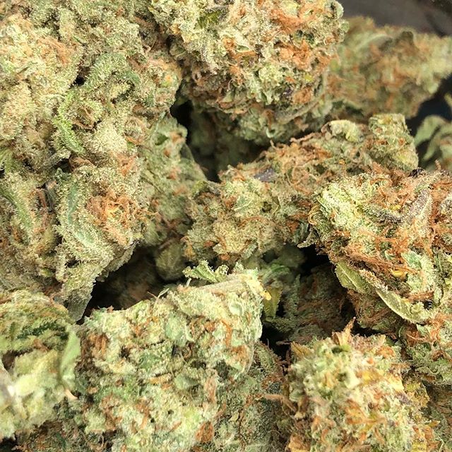 The Greenhouse of Walled Lake Website