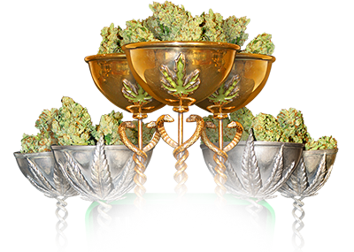 MMJ America in Denver - Downtown Website