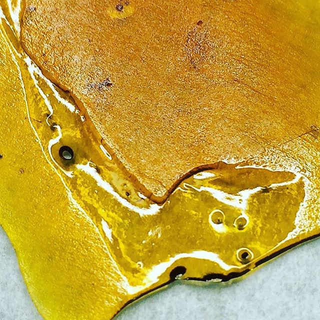 Prohibition Herb - Formerly known as Animas Herbal Website