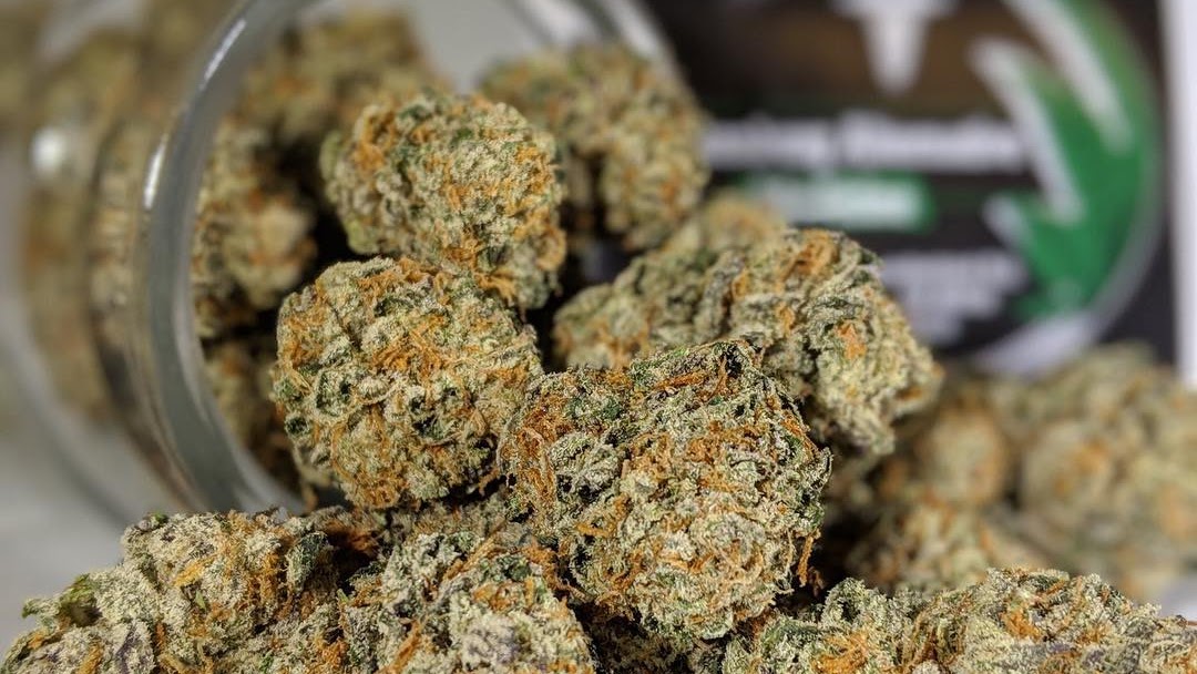 WAM (Wickenburg Alternative Medicine) Website