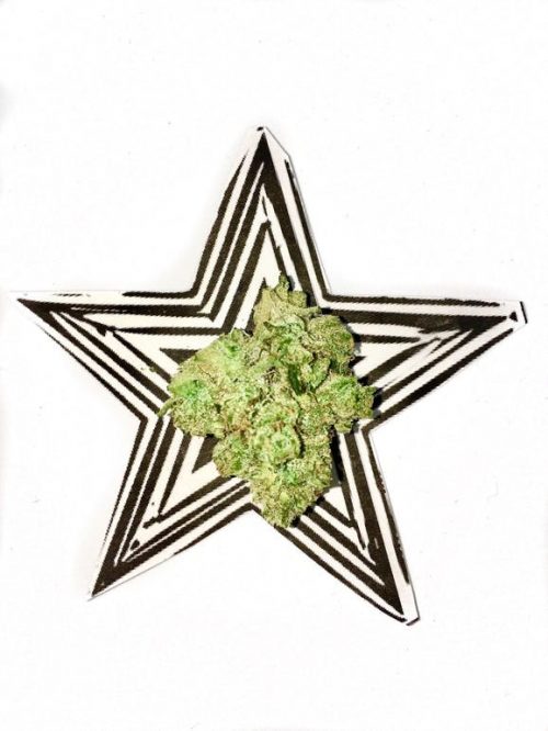 One Love Delivery Website