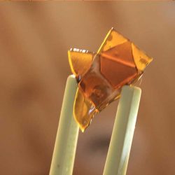 Santé - Durango Website