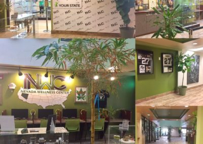 Nevada Wellness Center Website