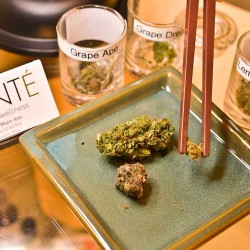 Santé - Durango Website