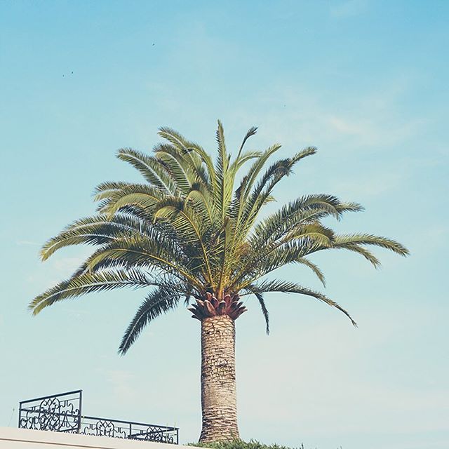 Flavors Detroit Website