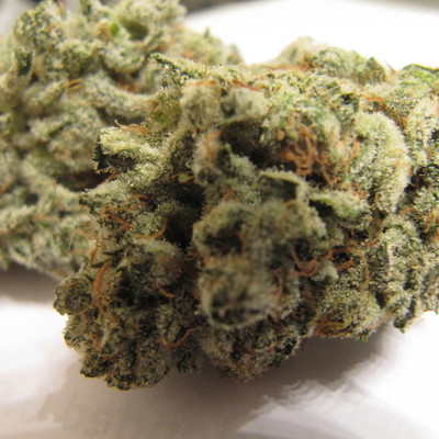 Bronto Delivery Website