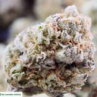 The Cannabis Method Website