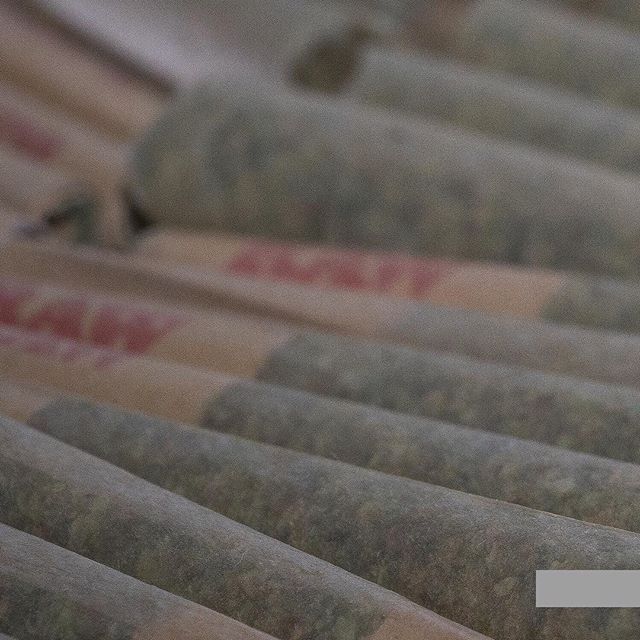 Apothca - Arlington Website