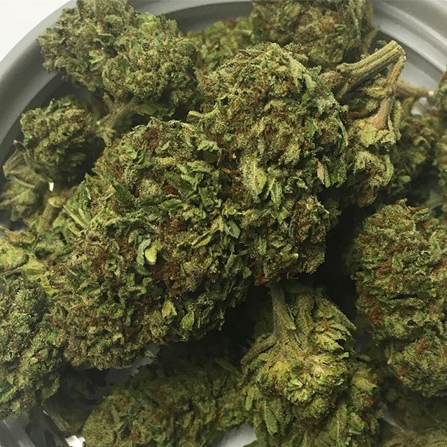 Healing Green Dispensary MMD Website