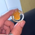 Kush21 - Pullman Website