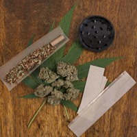 Diego Pellicer - South Denver Website