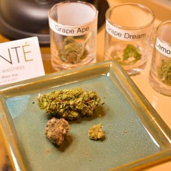 Santé - Durango Website