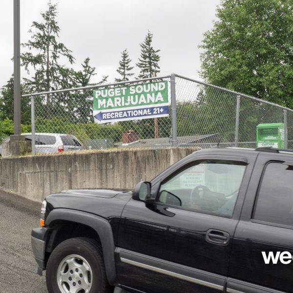 A Greener Today - Lynnwood Website