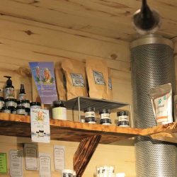 Santé - Durango Website