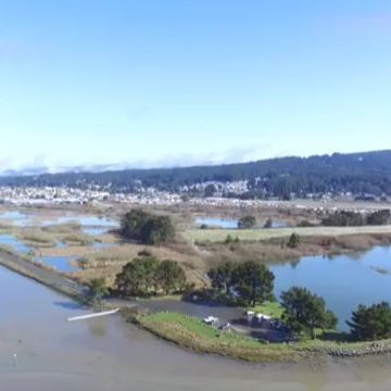 HPRC - Arcata Website