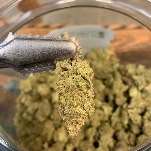 Highway 420 Seaside Website