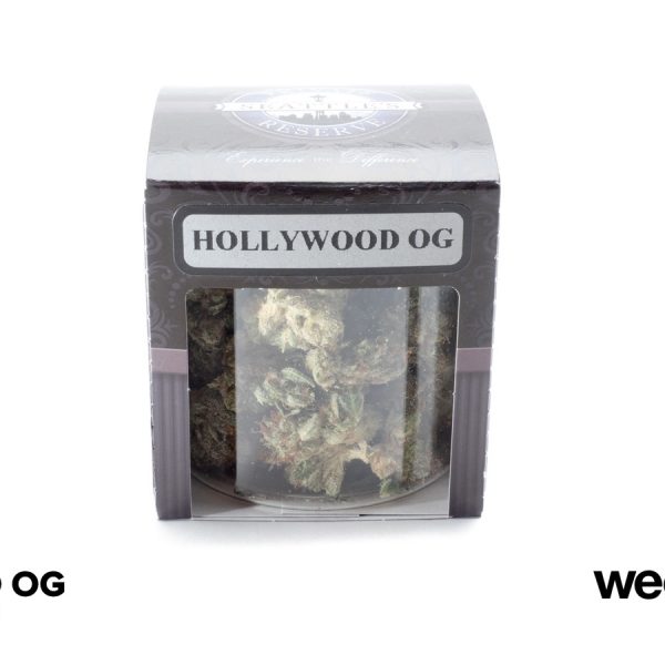 A Greener Today - Lynnwood Website