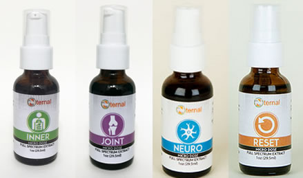 Xternal and Nternal Website