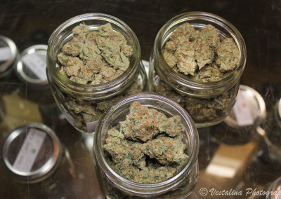 Twenty After Four Wellness Center Website