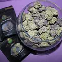 Experience CBD Website