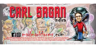 Always Greener Downtown - Redmond Website